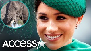 Hear Meghan Markle’s Powerful Disney Voiceover [upl. by Ierbua]