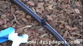 How to install button drippers in a drip irrigation system [upl. by Nadia]