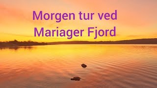 Fjord ørred ved Mariager Fjord [upl. by Llenahs369]