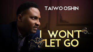 Taiwo Oshin  I WON’T LET GO Official Video [upl. by Madriene846]