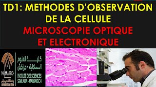 td 1 de biologie cellulaire s1 svi fssm et BCG 2023 le microscope optique et electronique [upl. by Iaw]