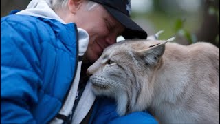 Hunter Fed Dying Pregnant Lynx All Winter  1 Year Later He Heard a Sound That Made Him Cry [upl. by Mazur]