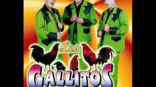 Los Gallitos De Chihuahua  Basta Ya [upl. by Roana]