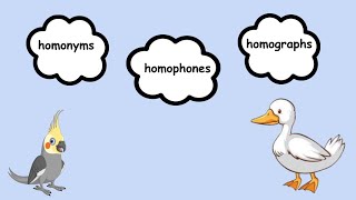 Homonyms Homophones Homographs [upl. by Lacsap222]