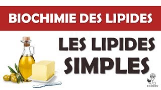 Biochimie des Lipides  les Lipides Simples [upl. by Renaud]