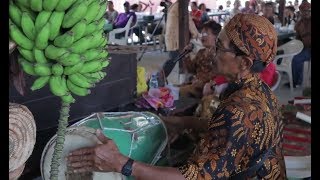 Status van de Javaan anno 2019 in Suriname [upl. by Ferguson]