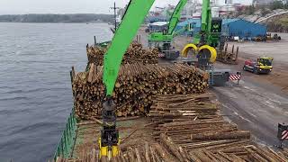 Discharging cargo on Ship deckTimber saw [upl. by Coffin]