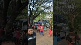 Ratu Maher SJM Trans vs VAREN ALFARENDRA telolet busmania basuri fullbasuri perangbasuri bus [upl. by Yslehc]