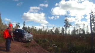 2016 new brunswick moose hunt [upl. by Eiramasil]