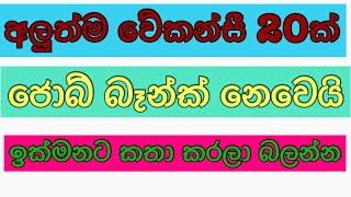 job vacancy 2023 sri lankaJob guide srilanka job interview jobs abroad jobs at home sinhala [upl. by Ramed460]