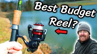 Is It Worth Buying Reviewing Reel For Crappie Bass Bluegill Catfish and MORE [upl. by Kcirderfla]