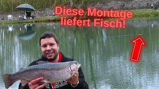 Mega zickige Forellen aber diese Methode und Montage liefern Fisch Angelparadies Herrhausen [upl. by Mae]