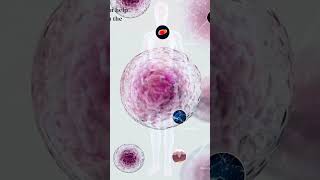 Did You Know What Mesenchymal Stem Cells MSC Can Do  MGRC [upl. by Yetty]