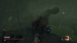 Sekiro Shadows Die Twice Fulminated Mercury Farming Location Early Game [upl. by Eillod852]