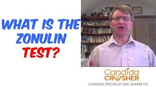 What Is The Zonulin Test [upl. by Gnauq]