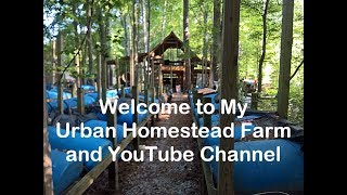 WelcomeToMyYouTubeChannelVideo1 [upl. by Anadal]