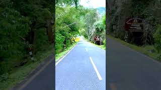 Masinagudi to Ooty Nature travelingboyofficial shorts viral trending YouTube happy travel [upl. by Jermain119]