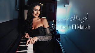 Christelle El Mallah  Esh Malak Habibi Official Lyric Video  كريستيل الملاح  أش مالك حبيبي [upl. by Suivart]