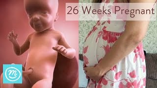 26 Weeks Pregnant What You Need To Know  Channel Mum [upl. by Jelene20]