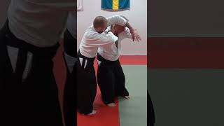 Aikido in slow motion NIKYO against grab and strike attacks by Stefan Stenudd [upl. by Tara]