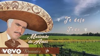 Vicente Fernández  Te Dejo Todo Cover Audio [upl. by Sewole423]