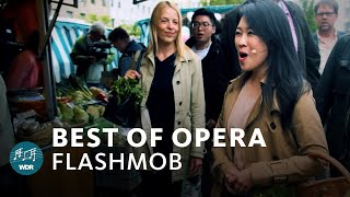 ChorFlashmob Best of Oper  WDR Rundfunkchor [upl. by Mosora]