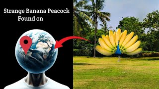 Banana Peacock Found on Strange Google Maps [upl. by Adala440]