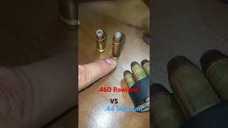 460 Rowland Vs 44 Magnum  Which do you choose [upl. by Brotherson]