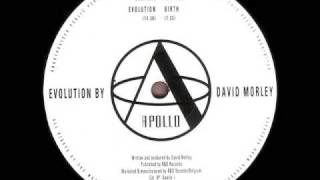 David Morley  Evolution [upl. by Danas]