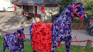 Remembrance Day display at Crantock village Cornwall  dji action 4 [upl. by Marcie]