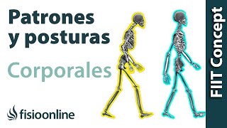 Patrones y posturas corporales  El lenguaje propioceptivo del cuerpo [upl. by Ahsenrad]