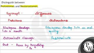 Distinguish between Protostomes and Deuterostomes [upl. by Annor]