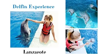 Delfin Experience in Rancho Texas Park  Lanzarote🐬 [upl. by Dnaletak]