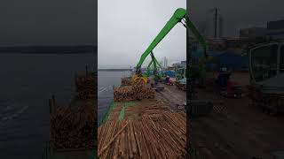 DISCHARGING OPERATIONTIMBER CARGO ON SHIP DECK youtubeshorts [upl. by Ainar]