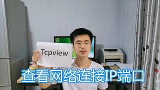 tcpview软件教程，实时刷新查看本机网络连接，进程IP端口协议 [upl. by Attalie]