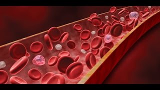 Anatomy and Physiology of Blood  Anatomy and Physiology Video [upl. by Yort]