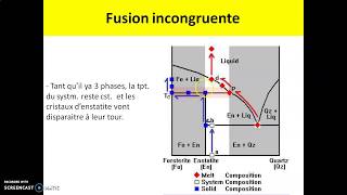 Diagramme de phase binaire incongruentolivinepyroxènequartz [upl. by Jacobina955]