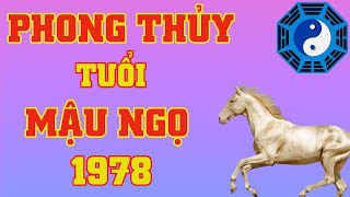 Phong Thủy Tuổi Mậu Ngọ 1978 [upl. by Yorgerg196]