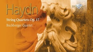 Haydn String Quartets Vol 7 Op 17 [upl. by Ogram]