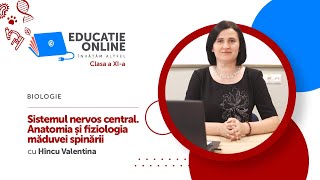 Biologie clasa a XIa Sistemul nervos central Anatomia și fiziologia măduvei spinării [upl. by Gesner]