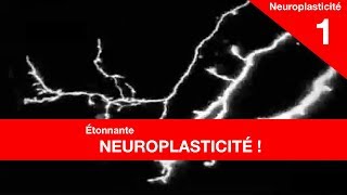 Questce que la neuroplasticité [upl. by Normak200]