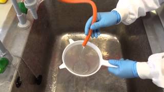 Immobilised enzyme investigation [upl. by Odlaner]