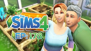 The Sims 4  Introdução à Jardinagem  Ep178 [upl. by Cross]