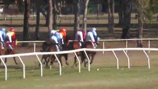 Mareeba 20240831 Race 6 [upl. by Carolyn]