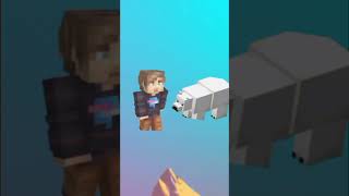 mrbest vs all mobes edit minecraft shortshortsfeed mrbest [upl. by Ebbie]