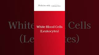 Medicine in English Blood Components onlyenglishonline medicalschool medicalenglish [upl. by Candie]