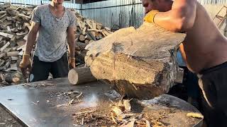 😳😳😳Mega wood splitting 🪓🪓🪓 Extreme work 🌳🌳🌳👍👍👍💪💪💪 [upl. by Cass]