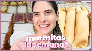 MARMITAS PRA SEMANA ALMOÇO E JANTAR  7 RECEITAS DIFERENTES  Thamyê Baseggio [upl. by Sladen]