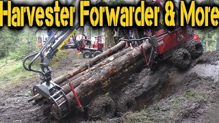 Alstor 840  8X8  Mini Forwarder  Elmia Wood 2017 [upl. by Celestia129]