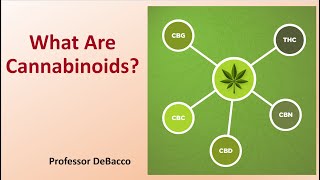 What Are Cannabinoids [upl. by Nosmirc]